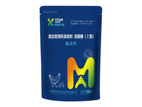 新支宪